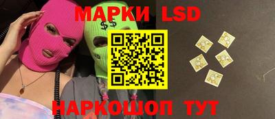 индика Протвино