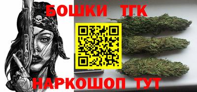 индика Протвино
